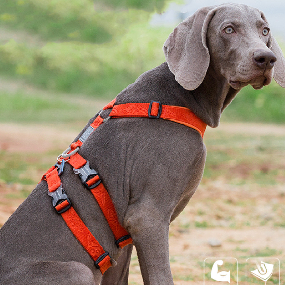 Vest Type Dog Lead Rope Chest Strap Out