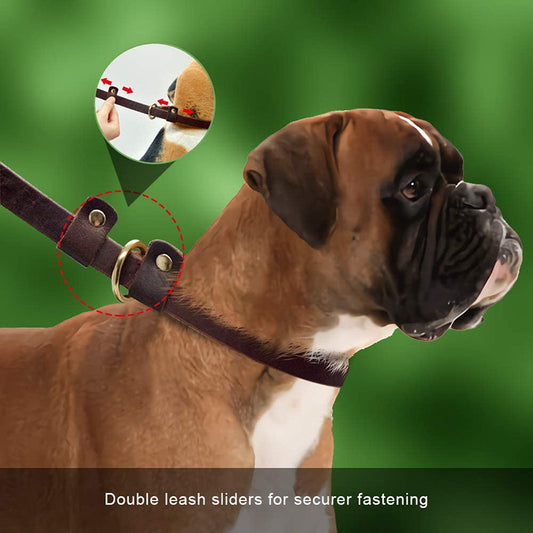 Pet Anti Breakaway Traction Rope