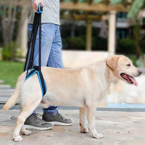 Pet Leg Harness Walking Support