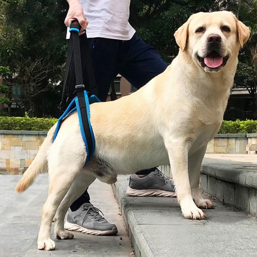 Pet Leg Harness Walking Support