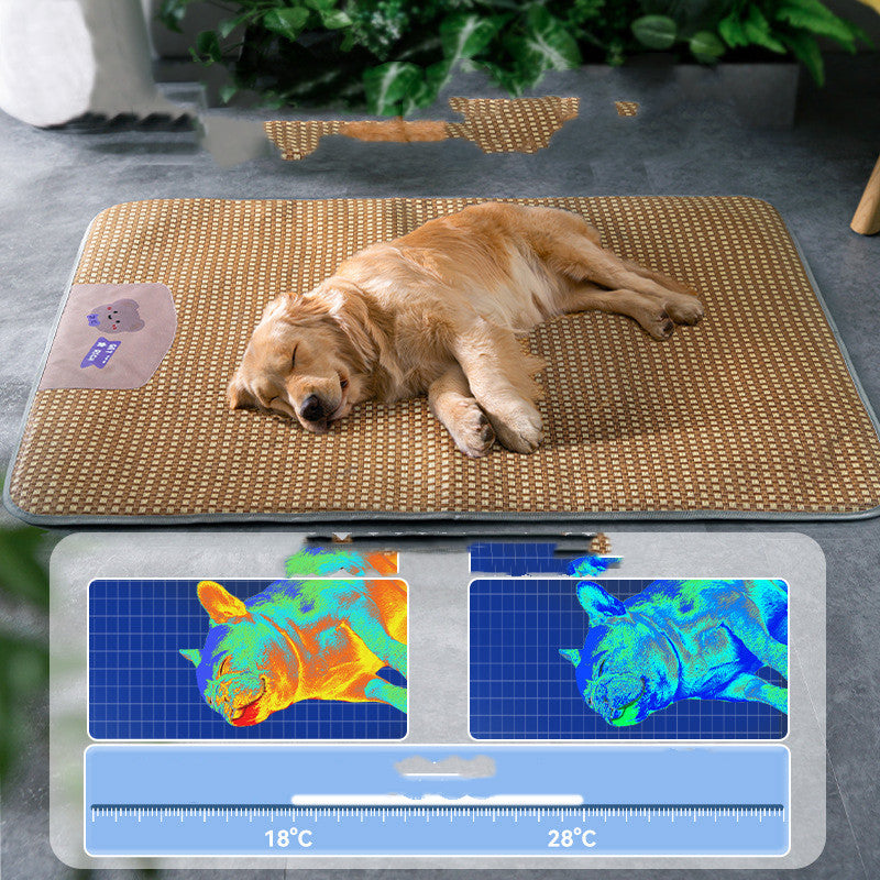 Four Seasons Cool Mat Small Big Dog