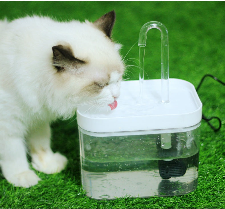 Cat Automatic Circulation Flow Mute Water Fountain Mouth Wet-proof Drinking Water Apparatus