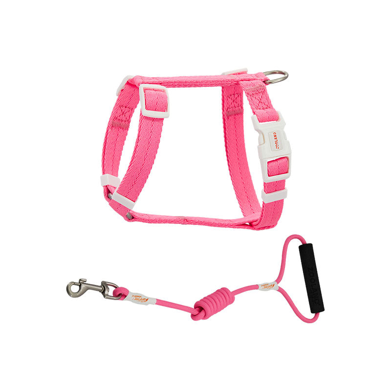 Pet Anti Breakaway Traction Rope