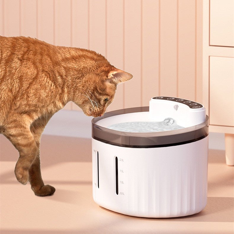 Pet Water Dispenser Automatically Circulates Live